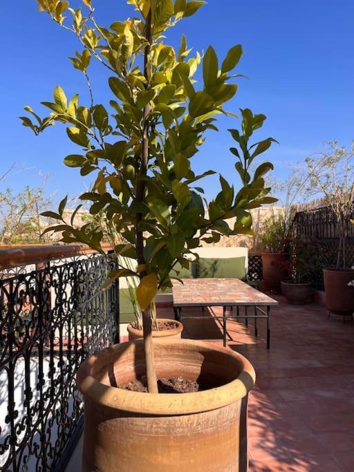Riad Dar Fannan En Exclusivite Marrakesh Extérieur photo